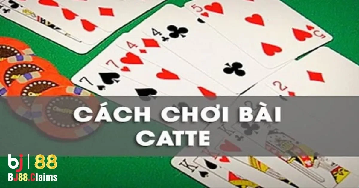 Các Tình Huống Chiến Thắng Trong Bài Catte